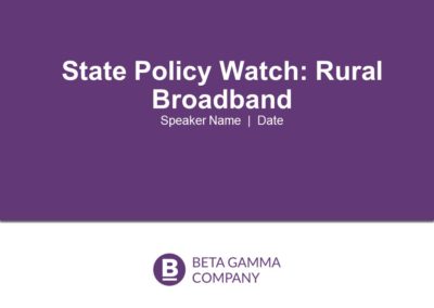 State Policy Brief